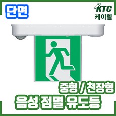 음성점멸유도등