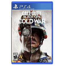 CALL OF DUTY BLACK OPS 콜드 워, 단일옵션