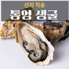 산지직송 최상급 통영굴 석화 생굴 각굴 반각굴 바위굴 석굴 깐굴 개체굴 벚굴 삼배체굴 세척 하프셀 하프쉘 굴 1kg 10kg 손질 횟감 용, 생굴 3kg