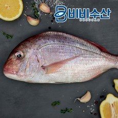 기타 참돔 1마리(590-740g)중(제수용), 상세페이지참조, 1개
