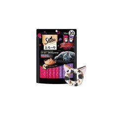 강아지세안밴드