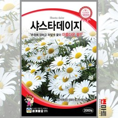 대전꽃원데이클라스