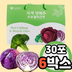 4색보감양배추즙