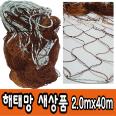 //상품명