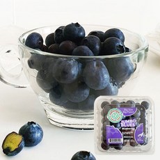과일예찬 고당도 칠레 생 블루베리, 3개, 125g(14mm내외)