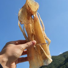 [유쾌상회] 국내산 마른오징어 파품  못난이오징어 쫄쫄이 파지 리뷰후기