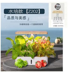 시금치수경재배