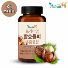 훼마e98프리미엄