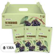 황금이네 헛개즙 100ml, 3L, 13개