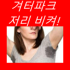 천연데오드란트 땀냄새제거제 발한억제제 비건데오드란트 쿨링 겨드랑이 암내방지, 1개, 170ml