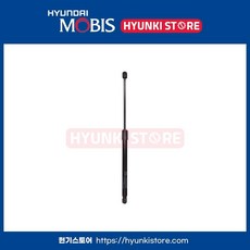 리프터후드 (81161S8000)