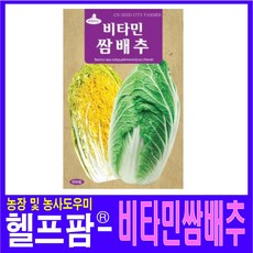 헬프팜 비타민쌈배추 1000립 아람종묘 배추씨 씨앗