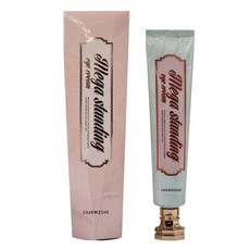 참존메가스탠딩아이크림