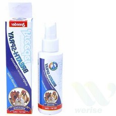 위라이즈 반려견 구강 스프레이 개구취제거 개치석제거, 1개, 120ml