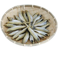 포항노가리