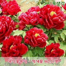 cb1e1fc902f6f7ccb1ba97bc88b8712f80b04c93b97795f3eef535da7a49.jpg