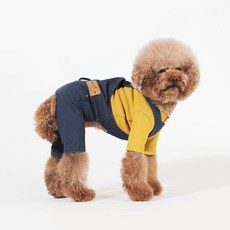스니프올인원