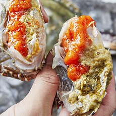 연평도 서해안 수율가득 알배기 신선한 활암꽃게 1개 3KG(12미내외)