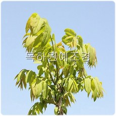 263a112595b909fce8d4a6a1b3f06d29c59e811c90ca5ac5be5dc87a186c.jpg