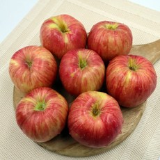 껍질째먹는 고당도 꿀사과 장수 부사 가정용 2kg 4kg, 장수 부사 가정용 4kg 20과