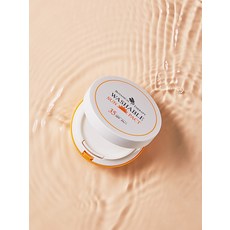 보타니컬테라피선팩트