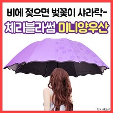 색깔변하는우산