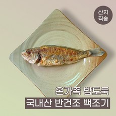 제주백조기