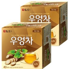 보람스마켓 담터 우엉차 40T X 2개 건강한차 티백차 맛있는차 티백음료, 1g, 40개