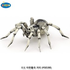 거미콘서트부산