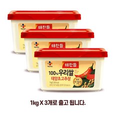 해찬들 우리쌀로만든 매운 태양초고추장, 3kg, 1개