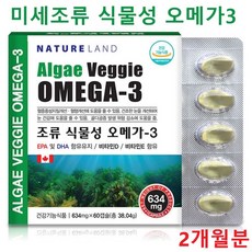 캐나다 네이처랜드 식물성 오메가3 미세조류 EPA DHA 비타민d 임산부 ncs 비타민e 흡수가 잘되는 기억력 눈에좋은 혈행개선 3세대오메가3 혈관영양제 추천, 2개, 60캡슐