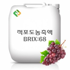 적포도농축액 25kg