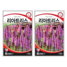 리아트리스 씨앗 100립 꽃씨앗 세계종묘 모칸도