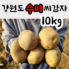 강원도 씨감자 수미 ( 야채 반찬용 ) 10kg 감자종자 감자씨앗