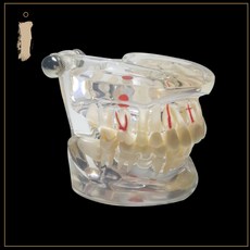 4cdb2838de3cad9aadb0e7a7a1bf3e3f2db26e245525f9216c8430e5acc0.jpg