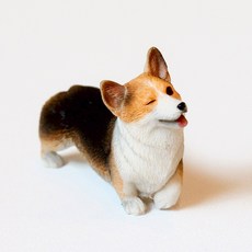 강아지미니어처