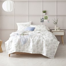 코스트코인견이불