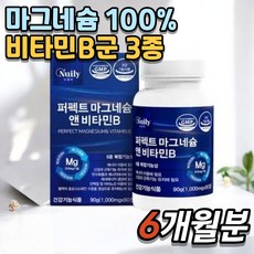 퍼펙트 마그네슘 앤 비타민B 심혈관건강 에너지증진 피로회복 근육 신경안정 긴장완화 수면개선 피부보호, 2개, 90정