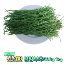 국내산 신선한 영양부추, 1개, 1kg