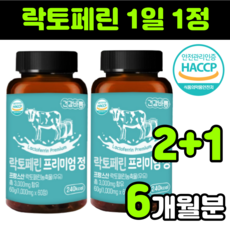 달리스펙터1