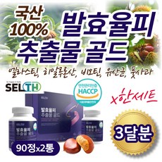 올앳미발효율피