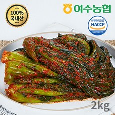 여수농협 여수돌산 갓김치 (국내산), 2kg, 1개