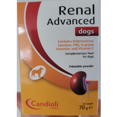 레날어드밴스드독