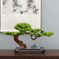 사철나무분재