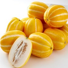 산지직송 성주 꿀 참외 5kg (랜덤), 랜덤과5kg