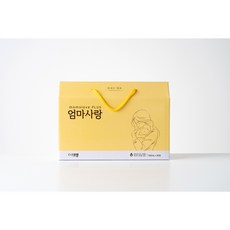 보생 엄마사랑 (완모맘 필수템), 100ml, 30개