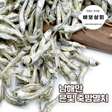 추천5죽방멸치