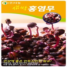 홍염