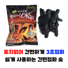 한방에OK 간편점화 착화숯 캠핑 숯불 바베큐 구이용 번개탄 대용