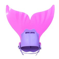 서울프리다이빙체험